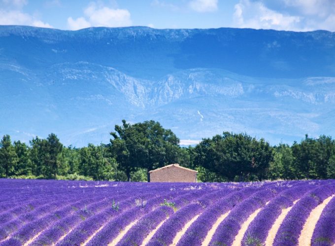 LE VIE DELLA LAVANDA A VALENSOLE VERO ANGOLO DI PARADISO SABATO 4 LUGLIO 2026