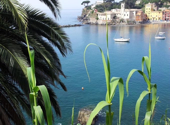 Il Golfo del Tigullio:  SESTRI LEVANTE – CHIAVARI E LA BASILICA DEI FIESCHI  SABATO 16 MAGGIO 2026